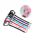 Adjustable Pet Car Seat Belt – Nylon Safety Restraint – photo 17