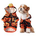Pumpkin Hoodie for Dogs & Cats – Halloween Costume Sweater – photo 1